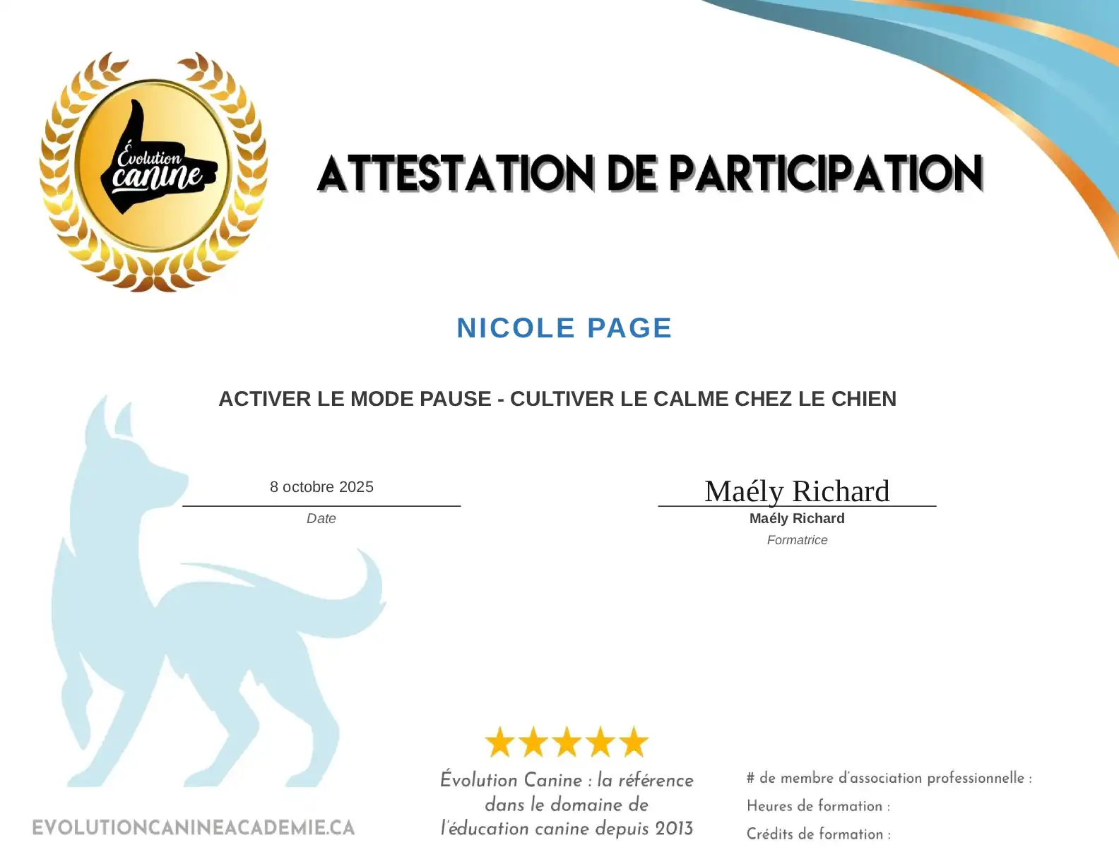 Activer le mode pause - Cultiver le calme chez le chien