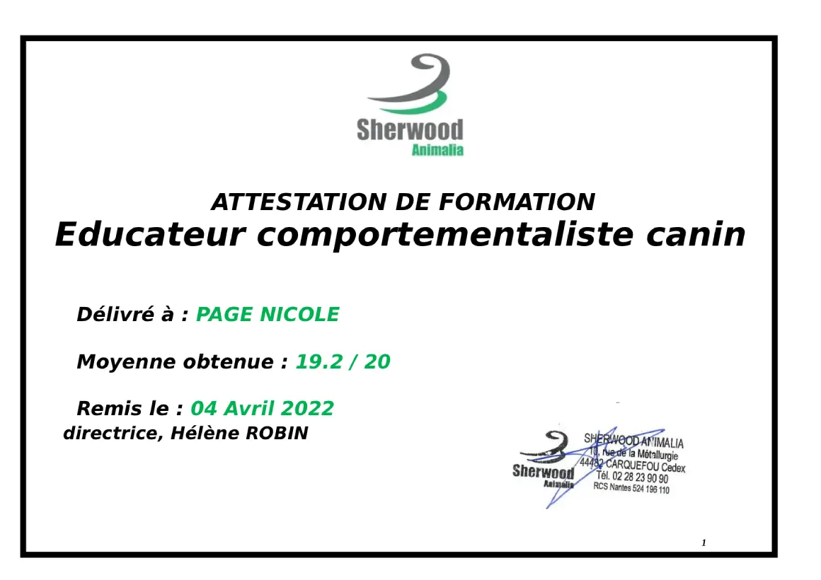 Certification : Techniques modernes d'éducation et de modification comportementale canines (RS6061)