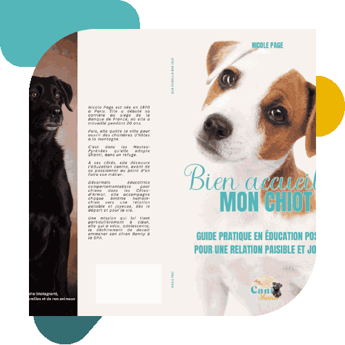 Guide Bien accueillir mon chiot