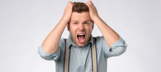 Mon chien est têtu !