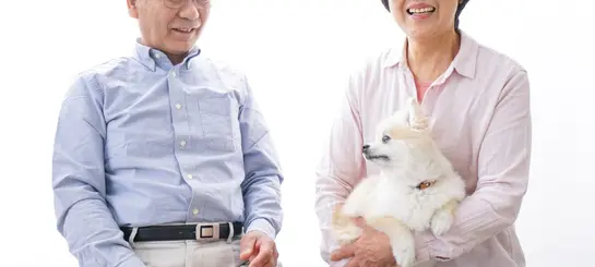 Un couple âgé avec un chien de petit gabarit