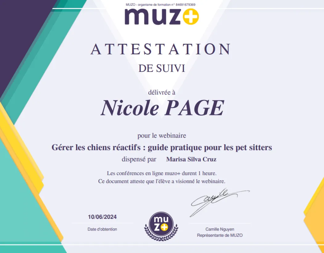 Gérer les chiens réactifs : guide pratique pour les pet sitters